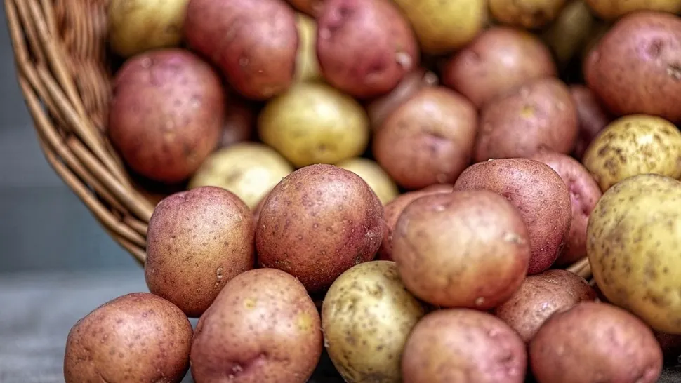 Alertă națională: Agricultorul român se confruntă cu cel mai crunt an din ultimele trei decenii!