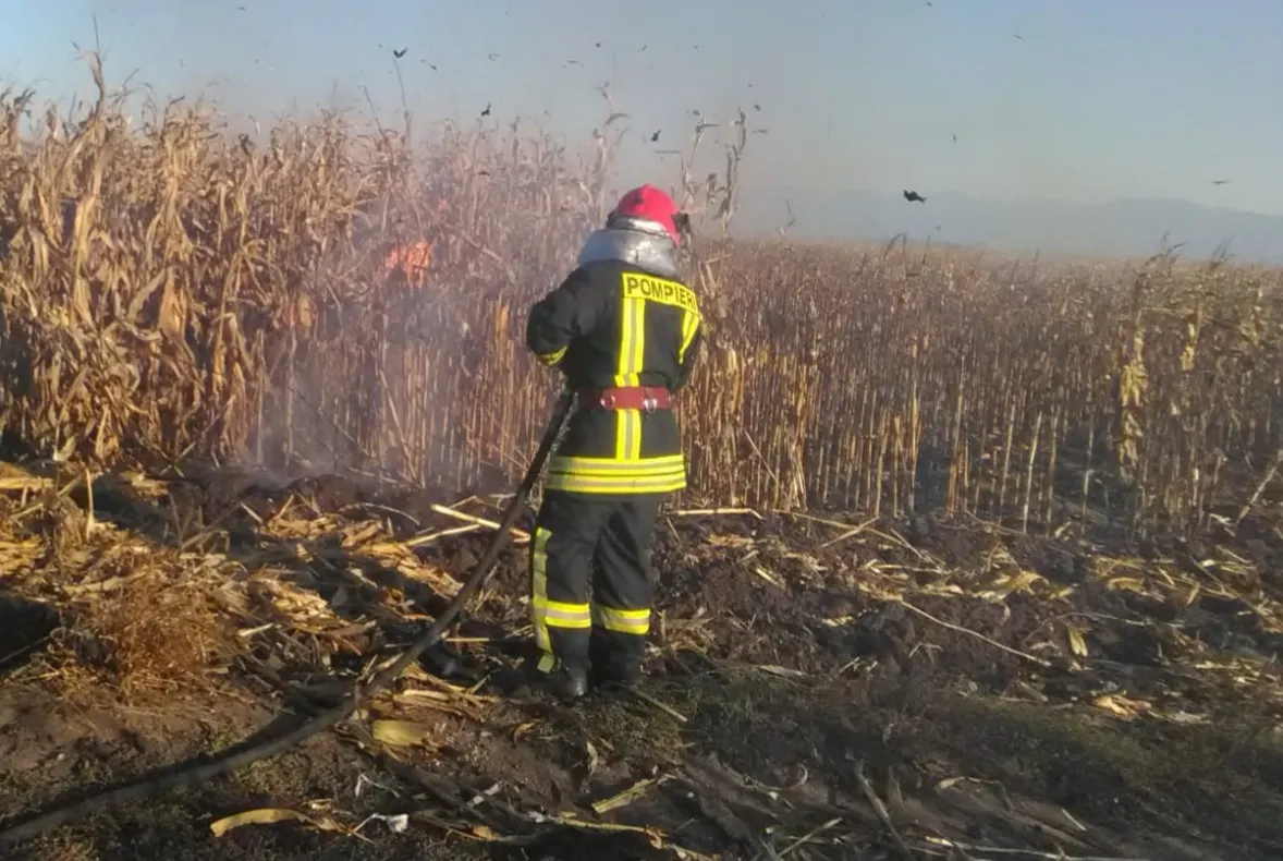 UPDATE | Incendiu la un lan de porumb între Şura Mică şi Ocna Sibiului