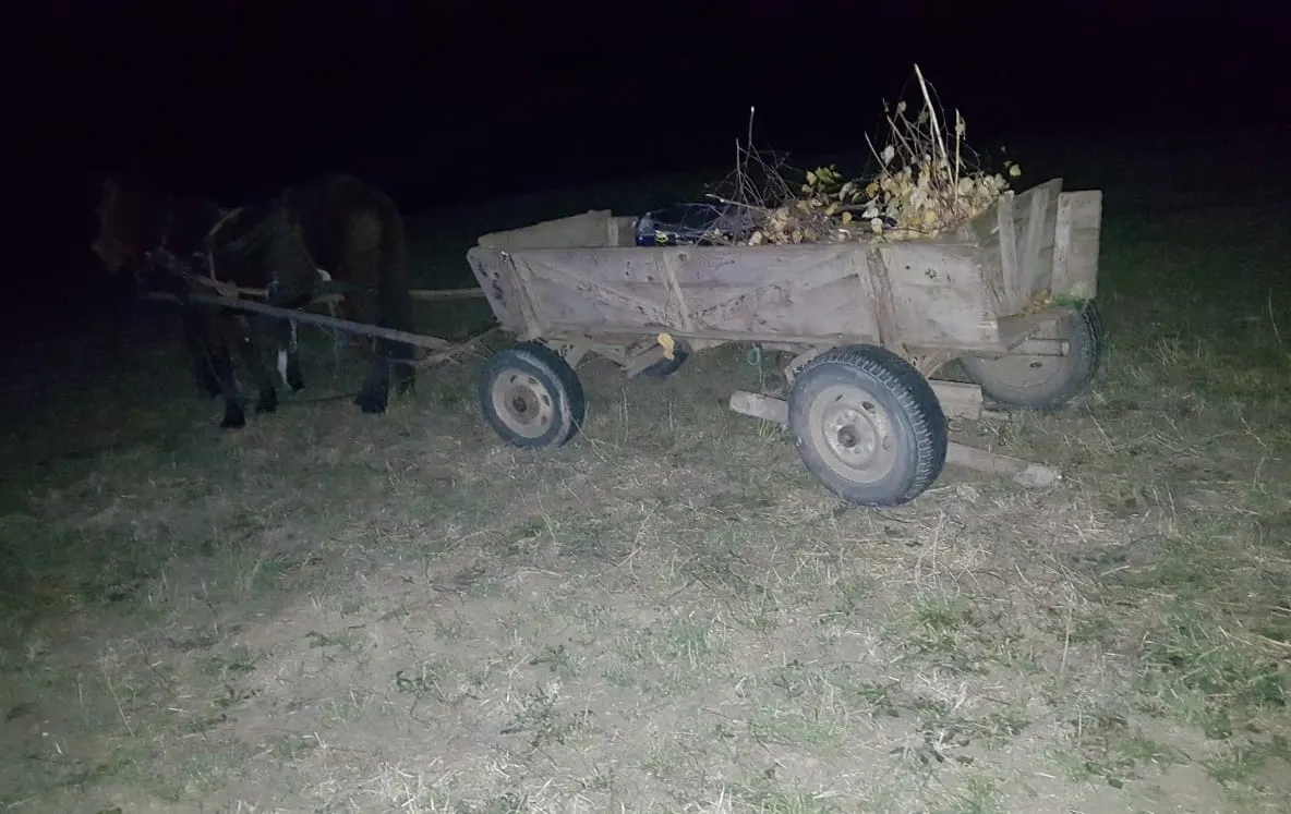 Un copil a ajuns la spital, după ce căruţa în care se afla a fost lovită de o maşină