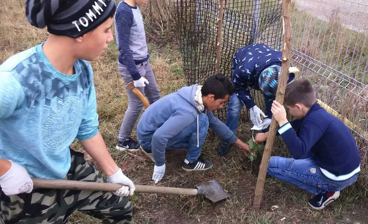 11 stejari plantați de copiii din Ruși, de Centenar