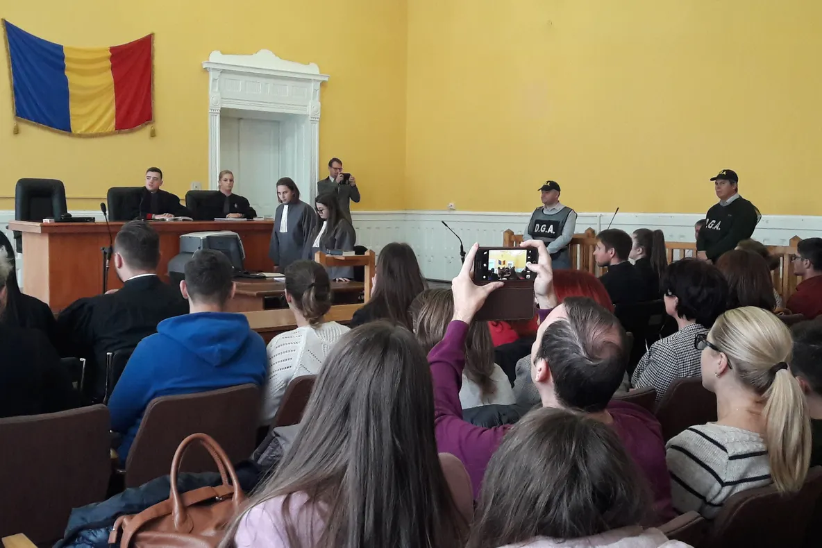 Al patrulea urs accidentat mortal, pe şoselele Sibiului