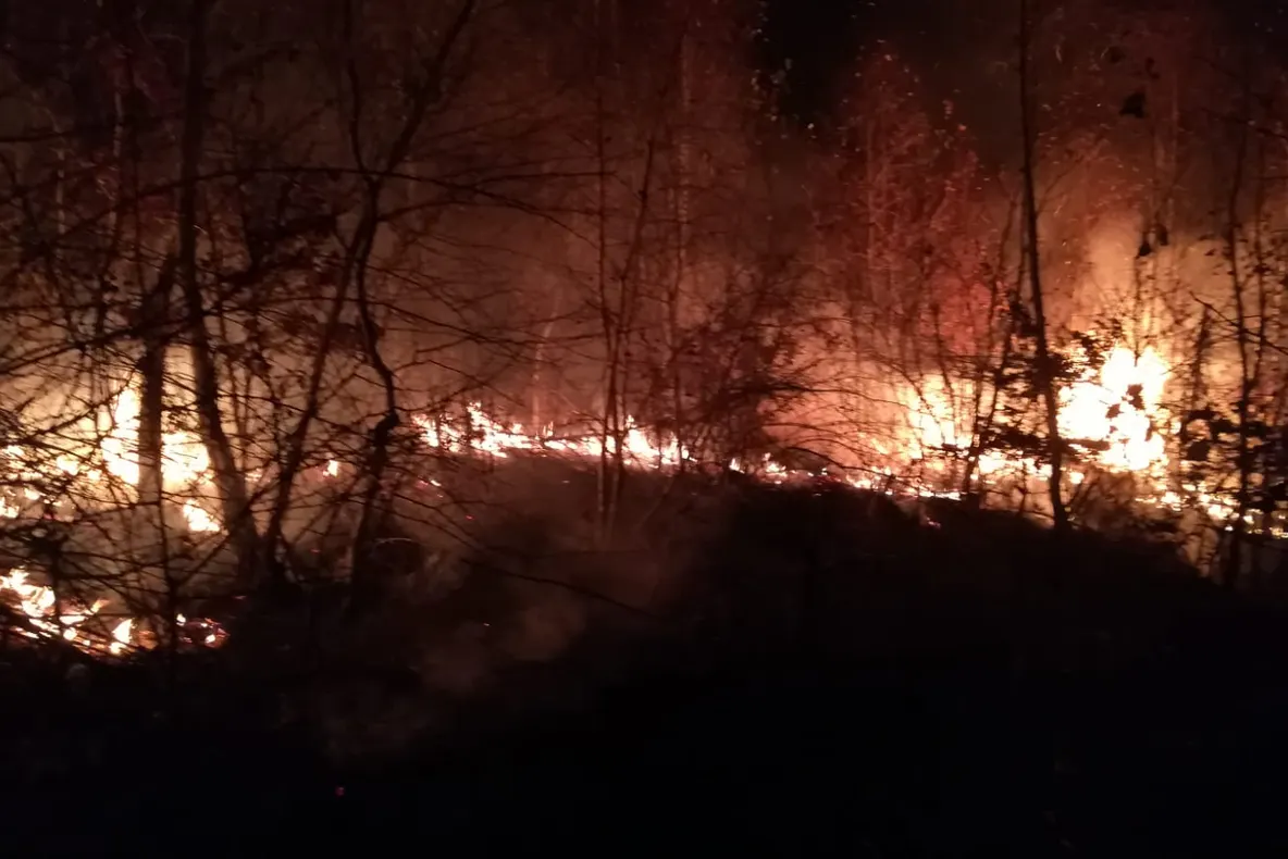 Cinci hectare au ars într-un incendiu de vegetație