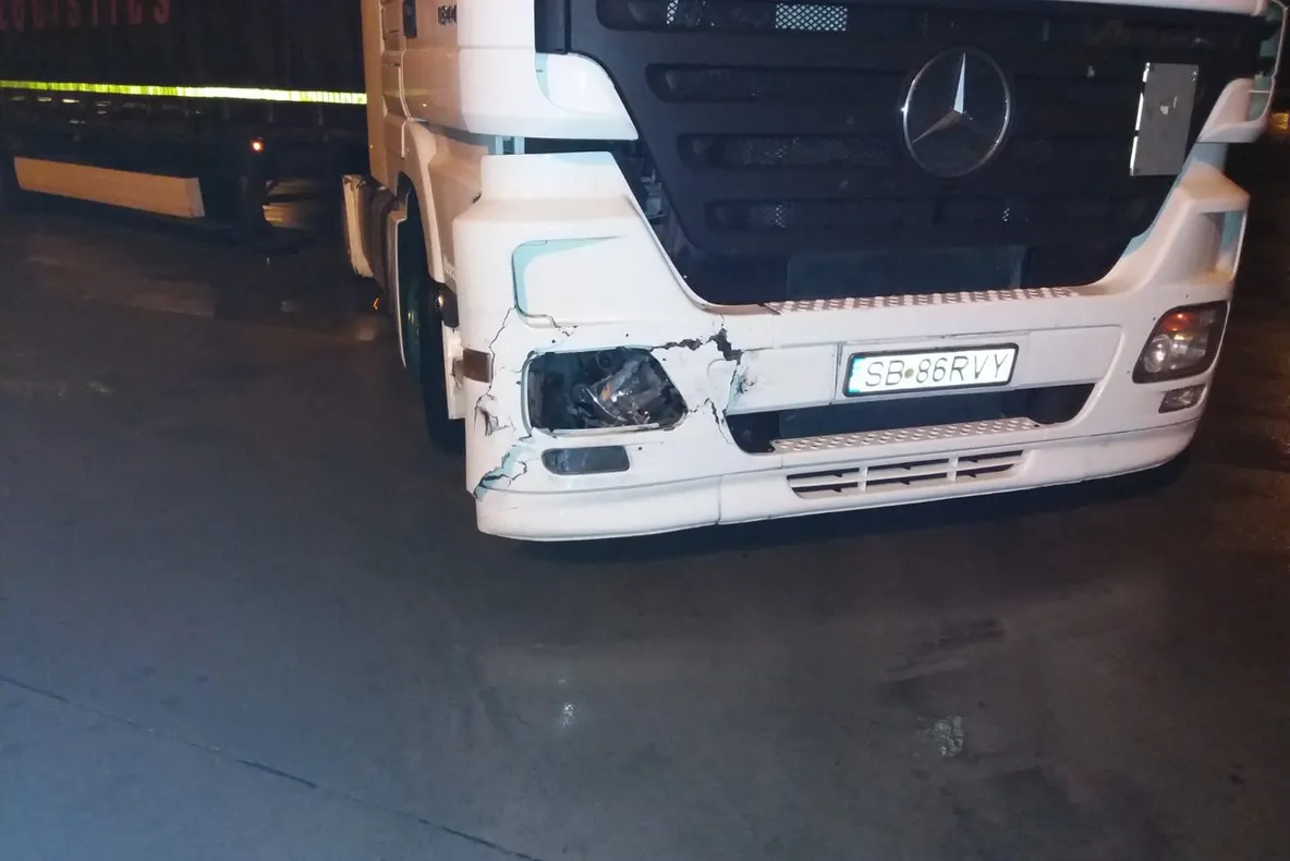 Video: Urs lovit de TIR la Săliște. Situația pare scăpată de sub control