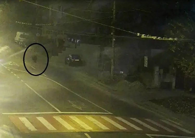 VIDEO | Un urs s-a plimbat prin parc şi pe lângă stadion, în Mediaş