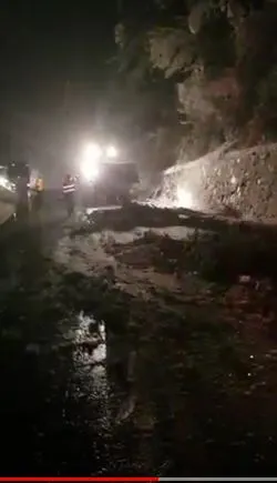 VIDEO | Circulaţie blocată, pe DN7, pentru înlăturarea unui copac căzut pe carosabil