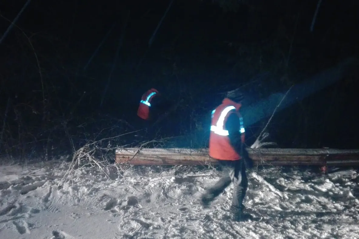 67 de utilaje, pregatite sa actioneze pe drumurile din judet. Drumul spre Paltinis, blocat din cauza copacilor cazuti