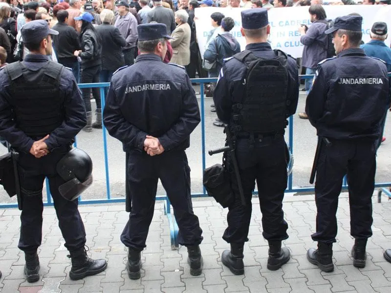 Jandarmii sibieni vor planta 4.000 de puieți de stejar în zona Daia