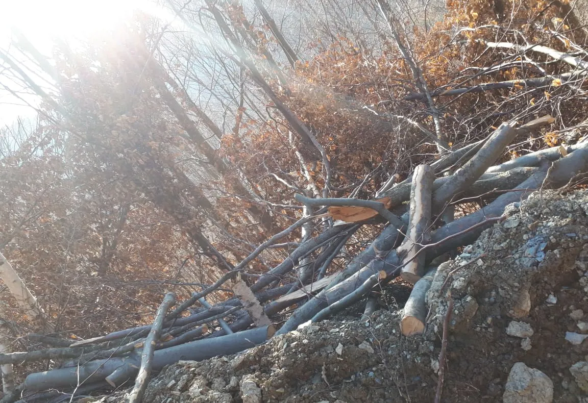 Incendiu în Săliște. O locuință și o anexă gospodărească au ars, din cauza unui scurtcircuit produs la instalația electrică