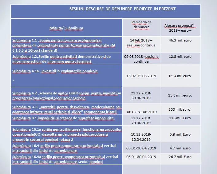 Jucătorii BC CSU Sibiu au oferit 1.000 de mărțișoare femeilor