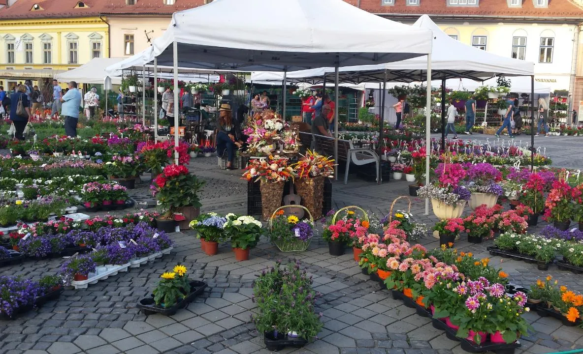 Piața Mare înflorește. Festivalul Grădinilor revine în centrul Sibiului