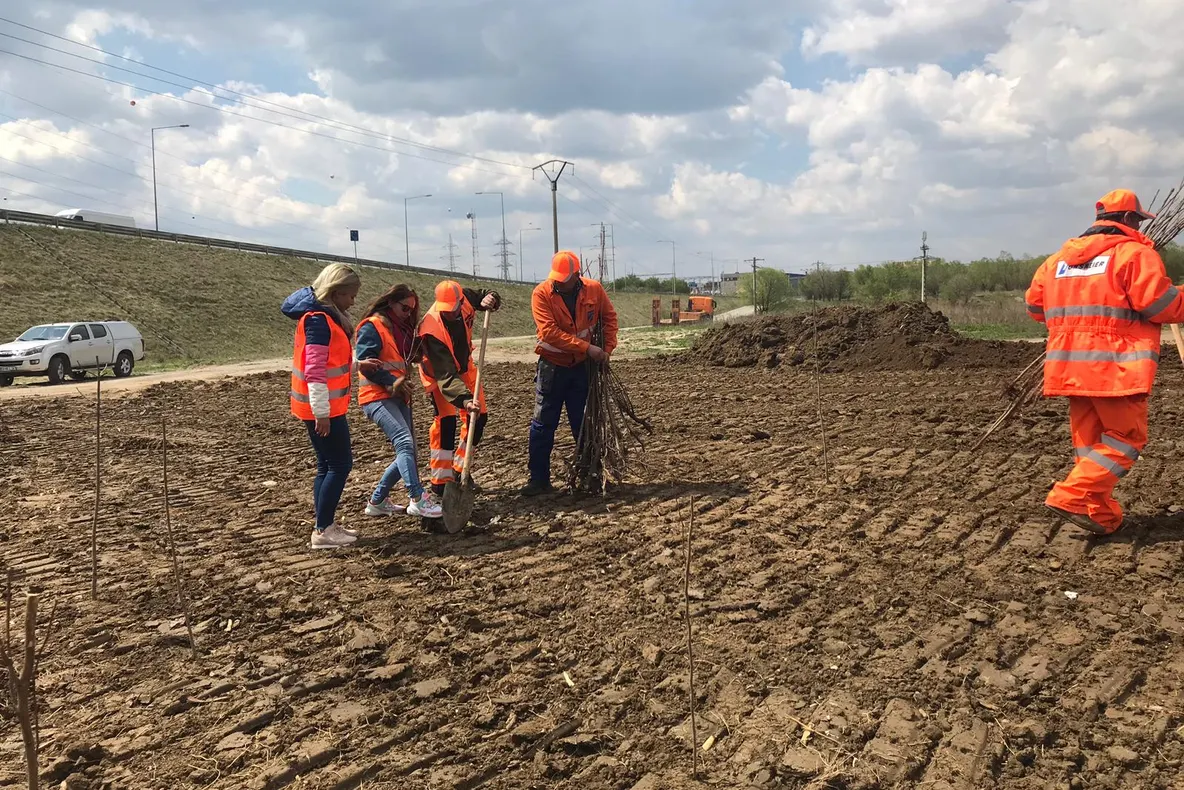 Angajații de la Secția Autostrăzi Sibiu au curățat zona Agnita de pe A1
