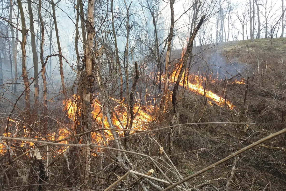 Șapte hectare de vegetație uscată au ars într-un incendiu