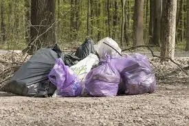 Bărbat de 37 de ani din Cristian, amendat cu 5.000 de lei după ce a transportat ilegal cherestea