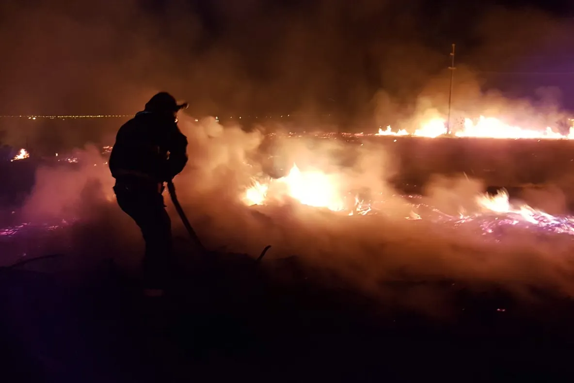 Incendiu la vegetație uscată, în apropiere de A1