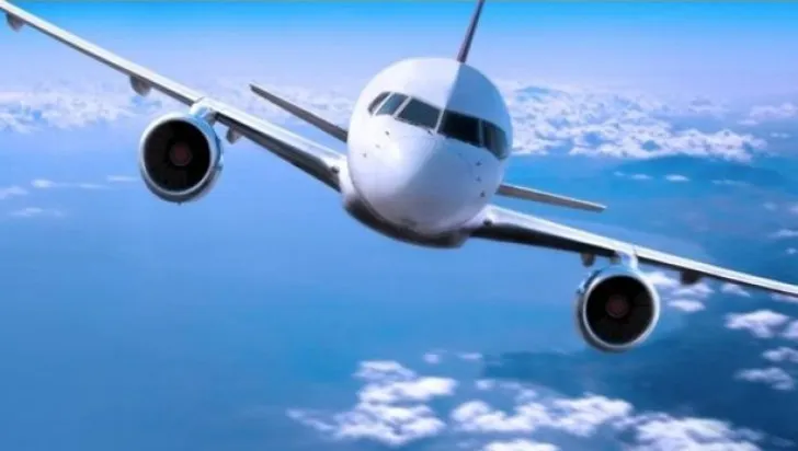 Avionul care transporta delegația britanică la Summit a lovit o pasăre