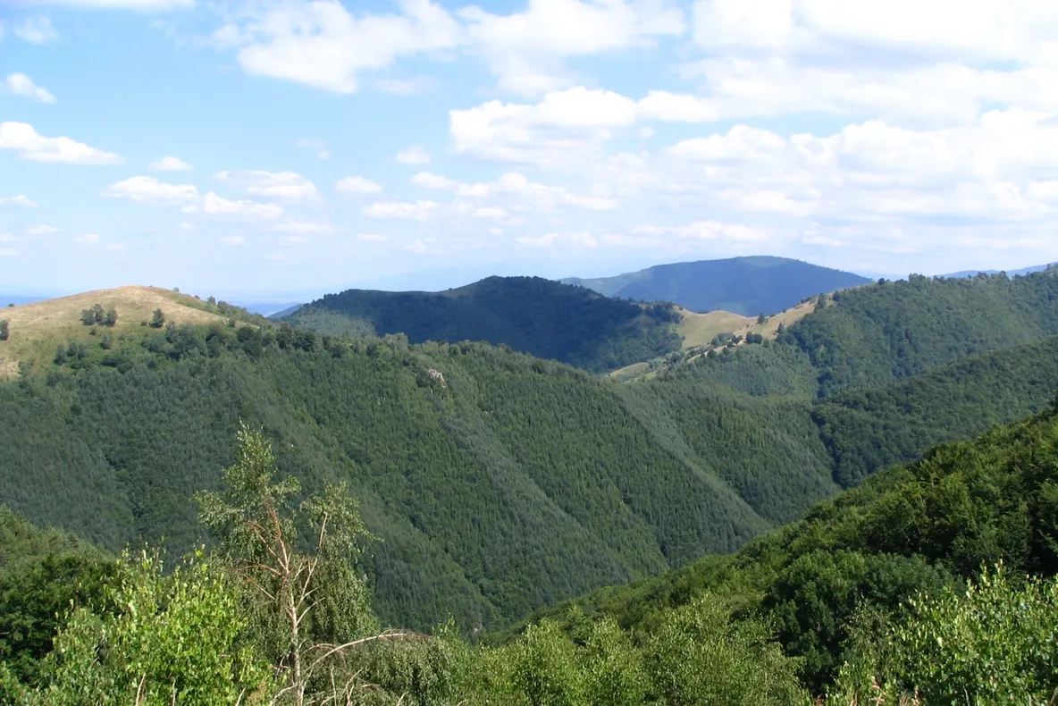 UPDATE: Persoanele rătăcite în zona Păltiniș au fost găsite și sunt în siguranță