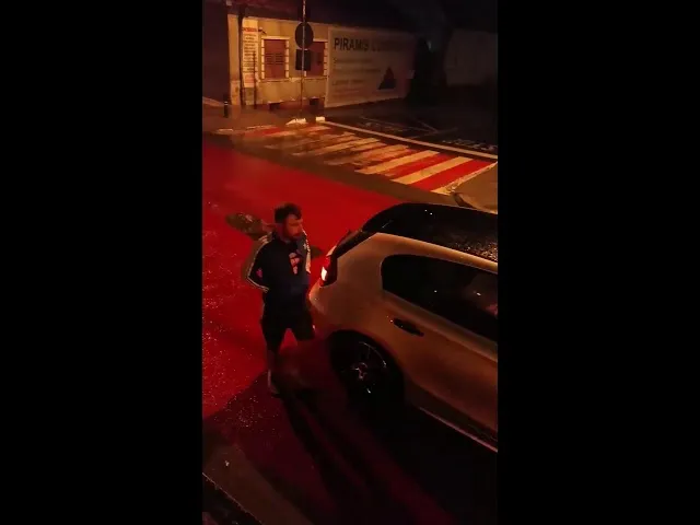Ursul din Sub Arini, căutat de autorități. Au trecut 40 de ore