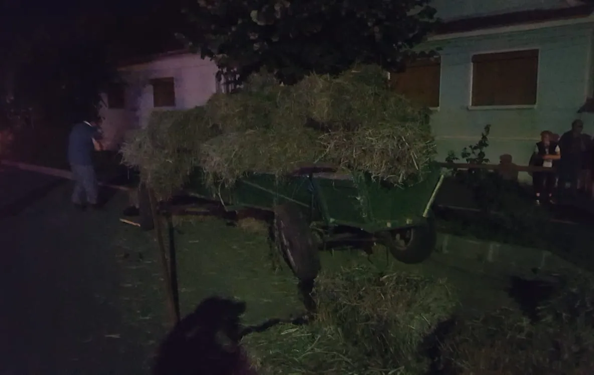Accident rutier între un microbuz condus de un șofer băut și o căruță nesemnalizată
