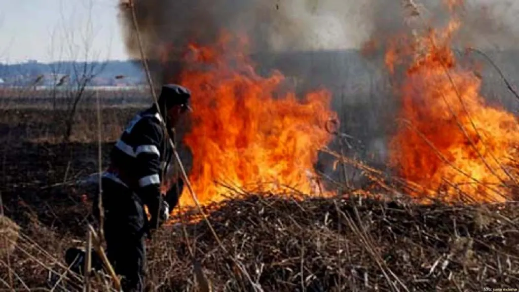 Incendiu de vegetație uscată, în Țapu