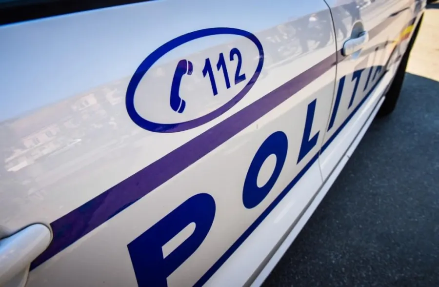 165 de kilograme de fructe de pădure, confiscate de polițiști