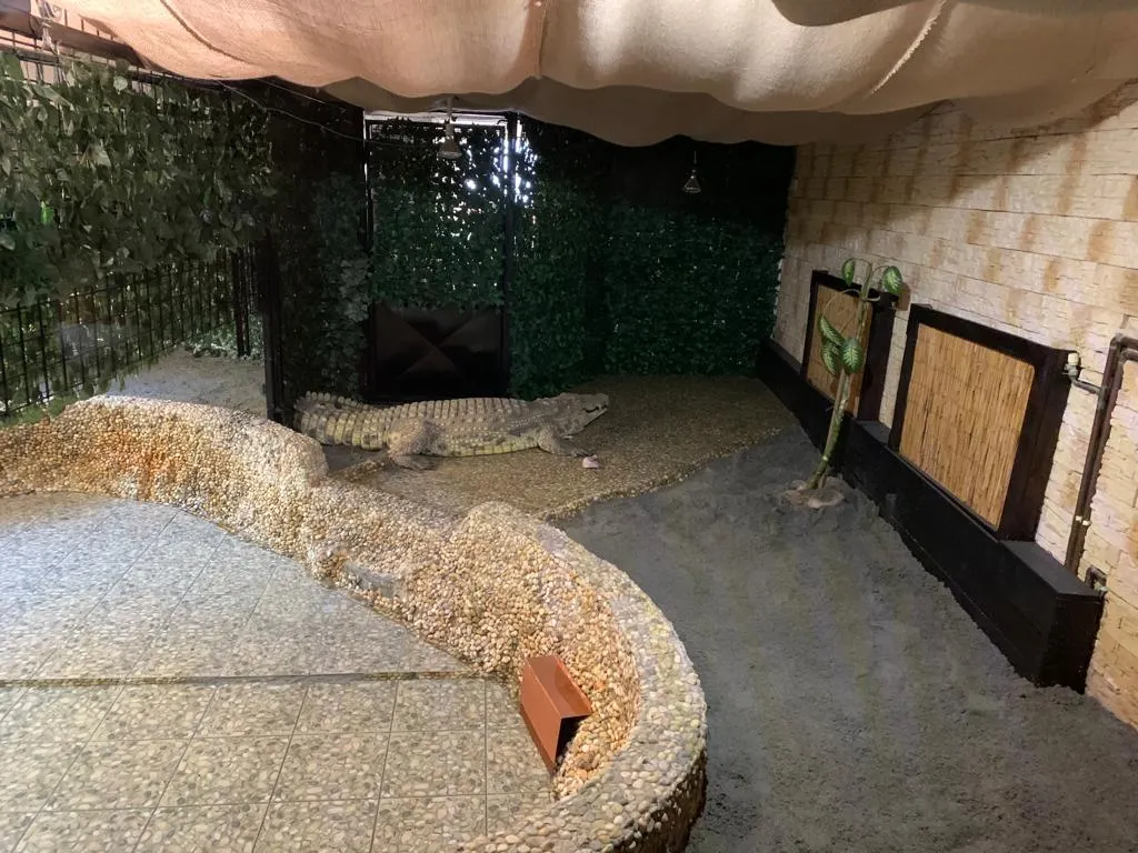 O vidră și un crocodil, noii locuitori ai Grădinii Zoologice Sibiu
