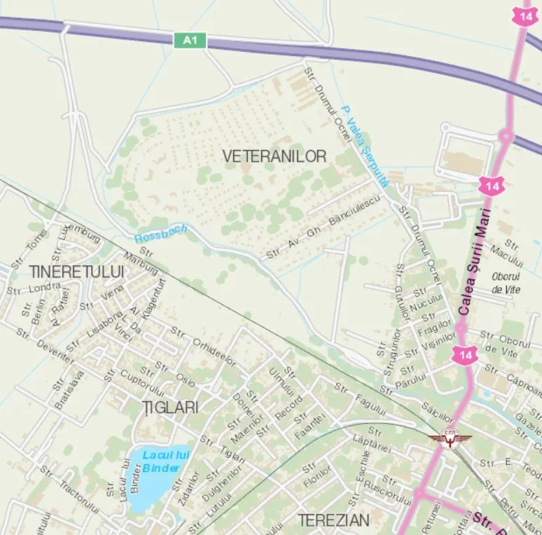 Vitalizarea cartierului Veterani pusă pe ordinea de zi a Consiliului Local
