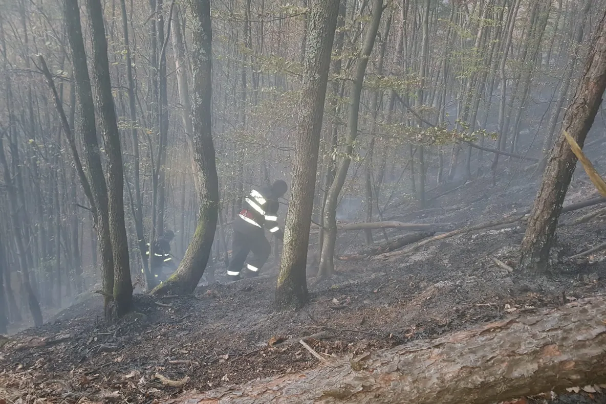 UPDATE/Video/ Incendiu de pădure la Măgura