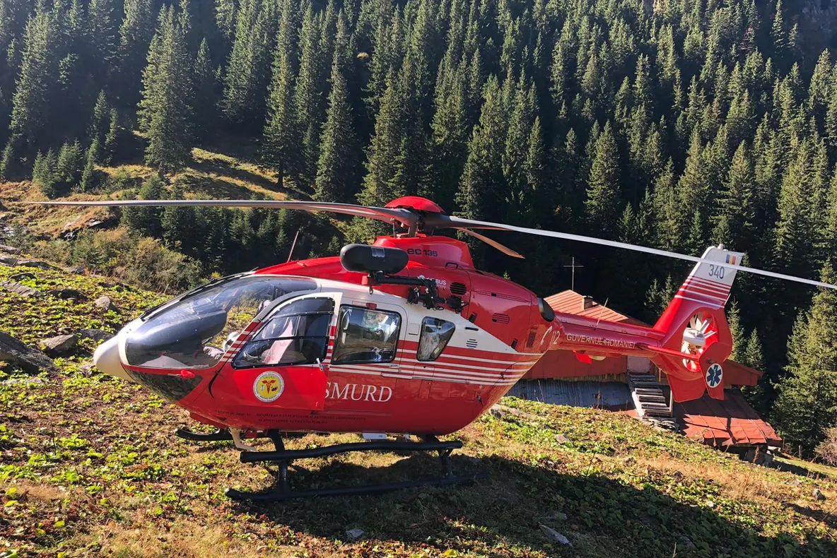 Muncitor forestier, găsit mort în apropiere de Păltiniș