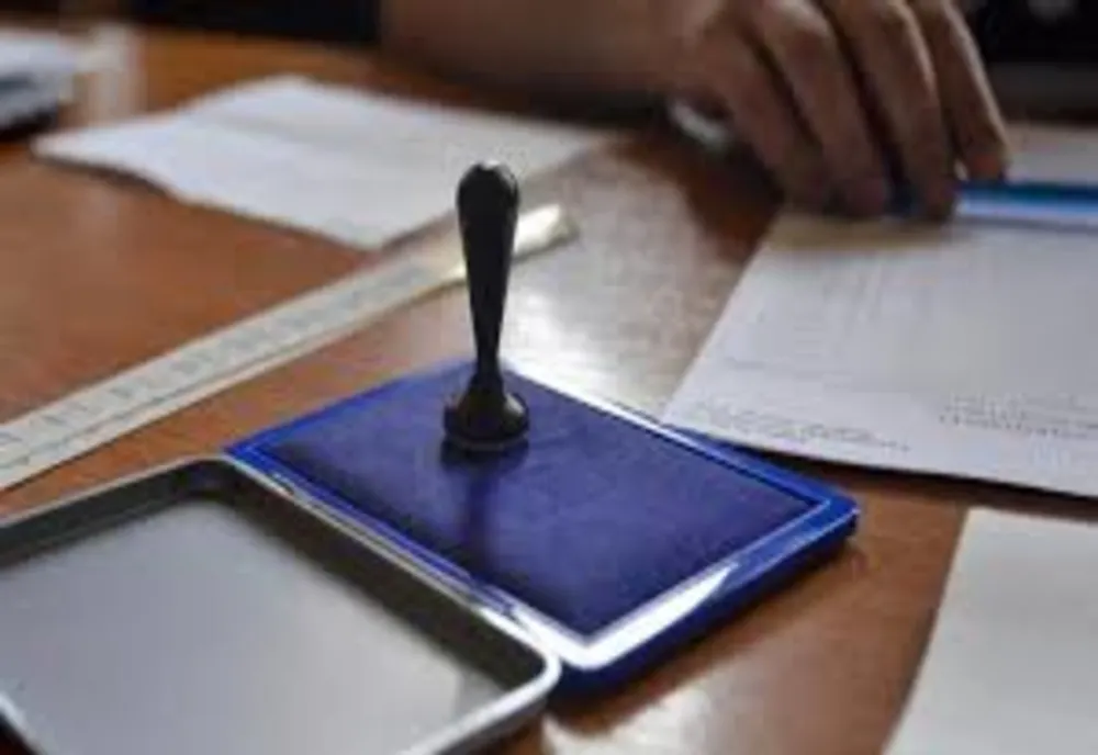 Prezență la vot de 438,46 %, în Păltiniș. Toți votanții, pe liste suplimentare