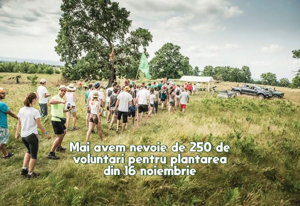 Asociația „Cu verdele-n sus” invită la o acțiune de plantare de copaci. Mai este nevoie de 200 de voluntari