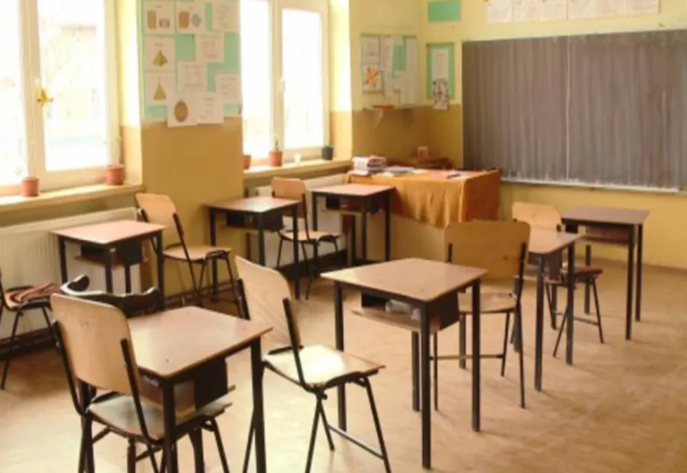 15 elevi diagnosticaţi cu gripă, la Liceul de Artă şi Grădiniţa "Elefănţelul Curios" din Sibiu