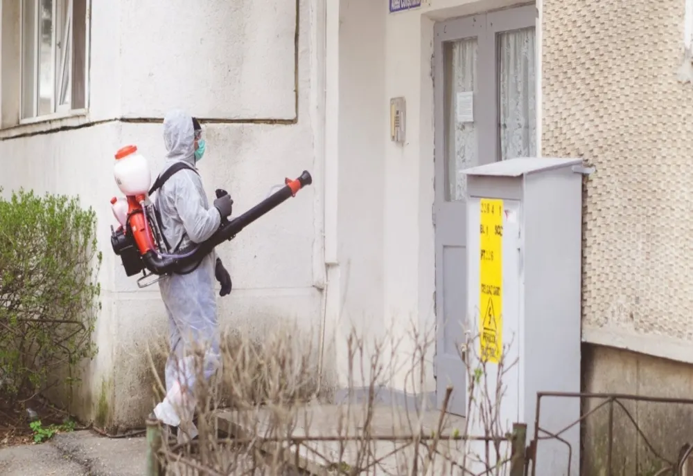 De mâine, începe dezinfecția scărilor de bloc din Sibiu