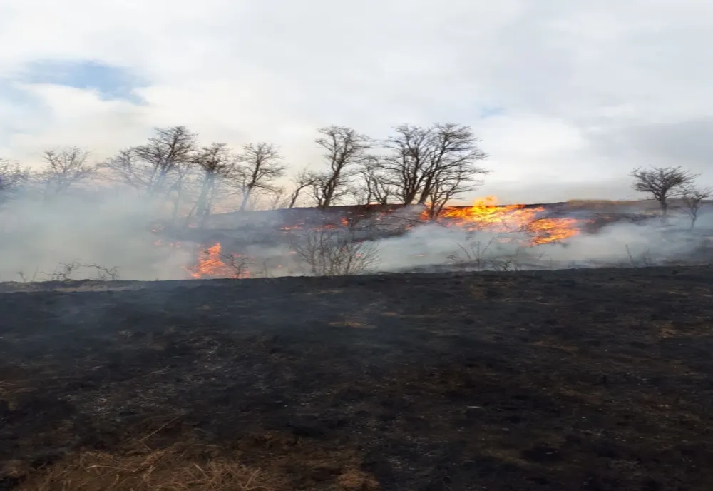 Incendii de vegetație uscată, pe DN1 și la Glâmboaca