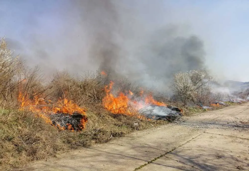Incendii de vegetație în Buzd, Rod și Dumbrăveni