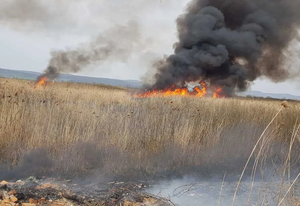 Două hectare de vegetație uscată au ars între localitățile Mârșa și Racovița