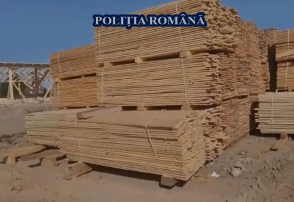 Percheziții în patru județe, printre care și Sibiul, privind tăierea ilegală de lemne