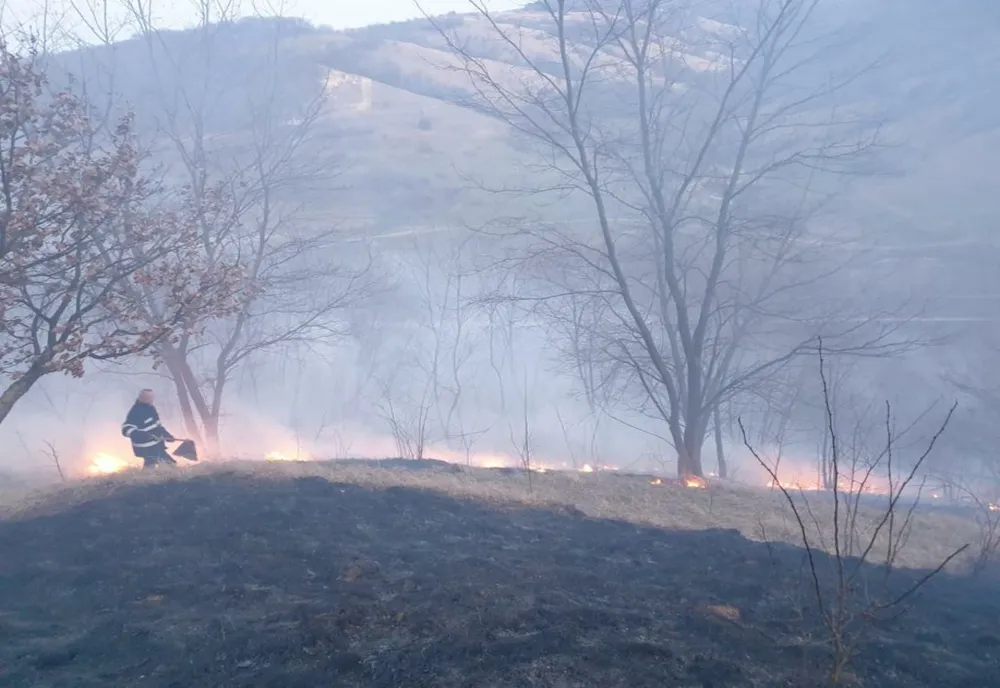 Incendiu la 20 de hectare de vegetație