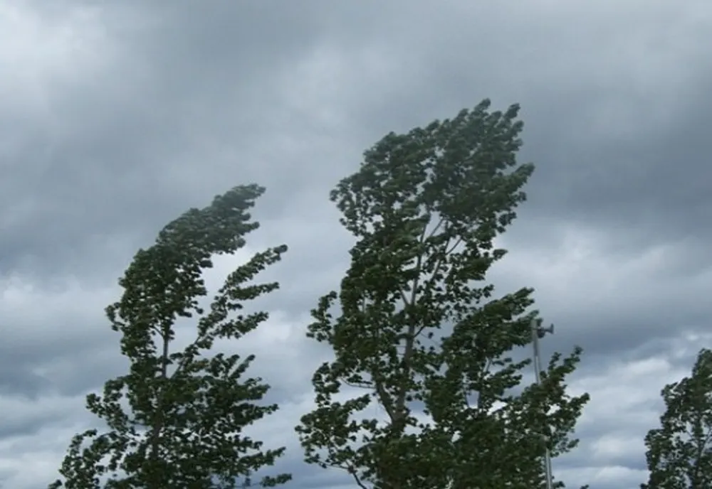 Atenționare meteo: cod galben de vânt puternic în județul Sibiu - rafale de până la 75 km/h