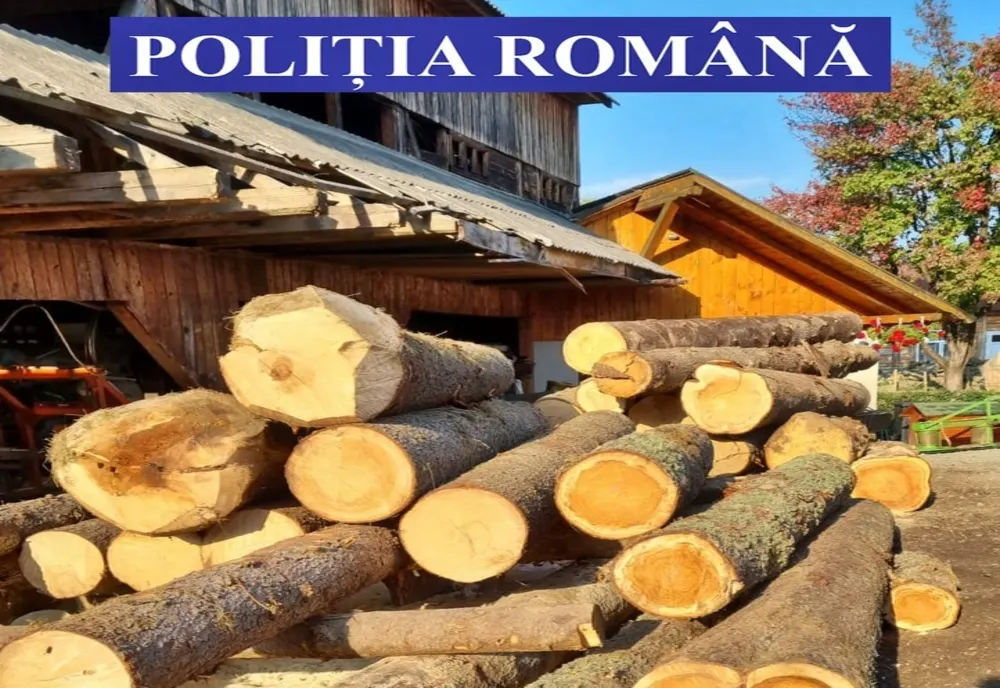 Material lemnos confiscat și amenzi aplicate în urma unei acțiuni a polițiștilor specializați în delicte silvice