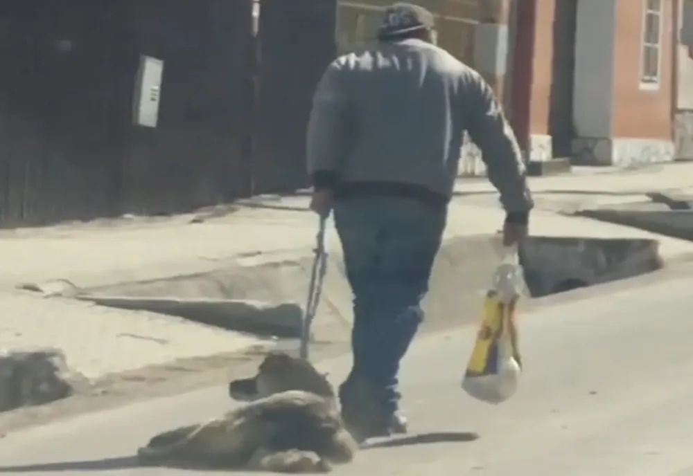 VIDEO Dosar penal pentru un bărbat care târa o cățea pe stradă