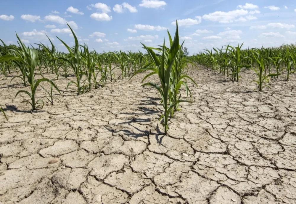 Secetă extremă în mai multe județe, în următoarea săptămână. Avertismentul meteorologilor