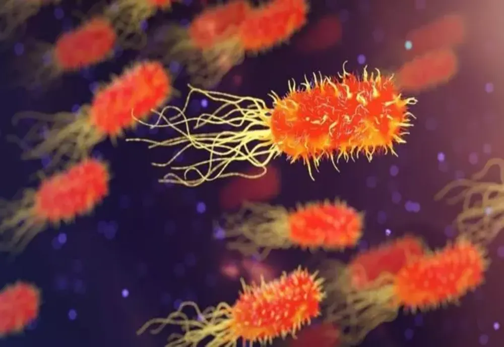Bacteria ucigașă care poate fi luată chiar din camera de hotel. Pandemia a avut un rol important în dezvoltarea ei