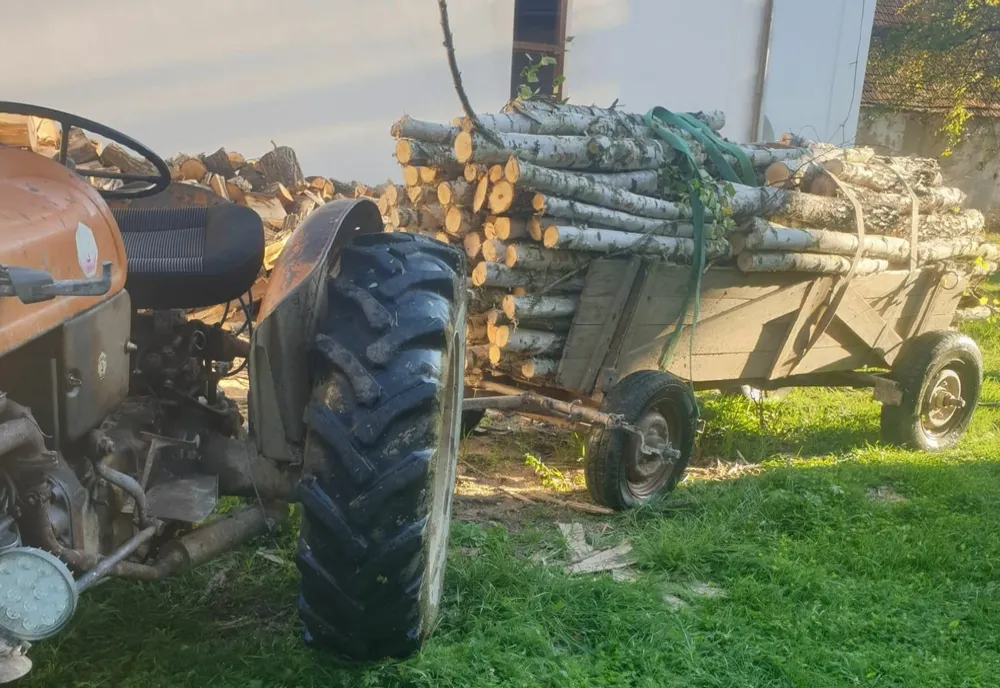 Amendat cu 2.000 de lei pentru transport ilegal de lemn
