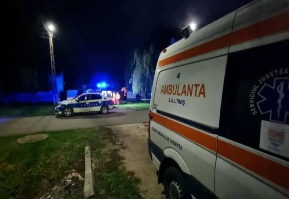 Accident cu 4 victime, azi-noapte, pe DN7! Doi minori răniți