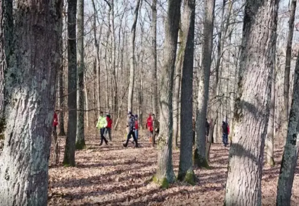 Filmul dispariției studentei la teologie de 25 de ani, din Sibiu. Tânăra, căutată de cu drone și câini de urmă - mobilizare uriașă