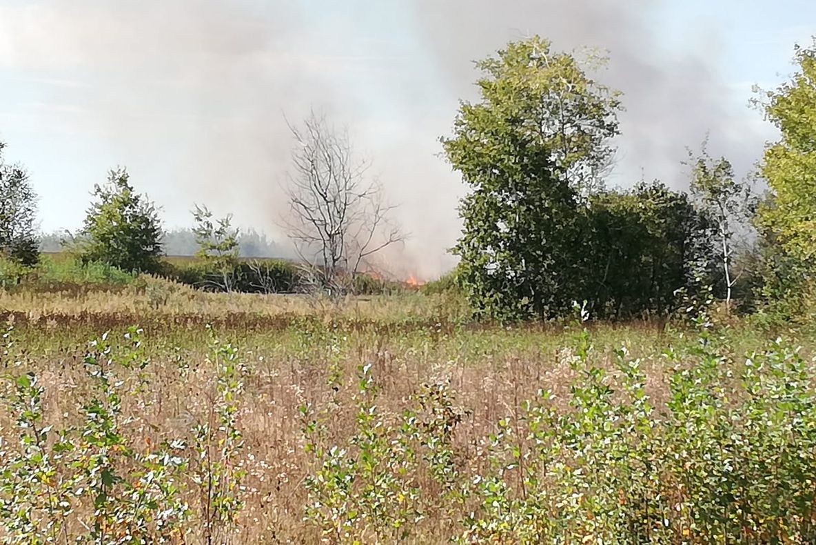 Incendiu la vegetaţie uscată. Intervin pompierii