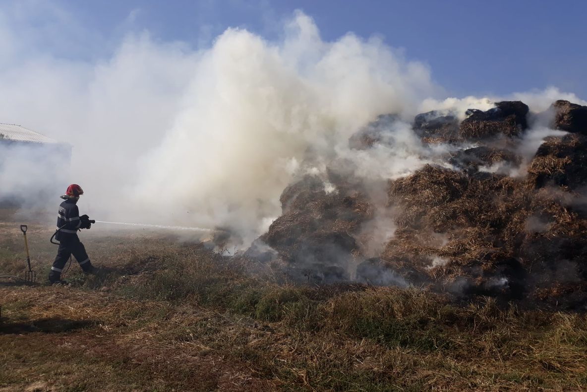 VIDEO. Incendiu la 60 de baloți de paie, în Avrig