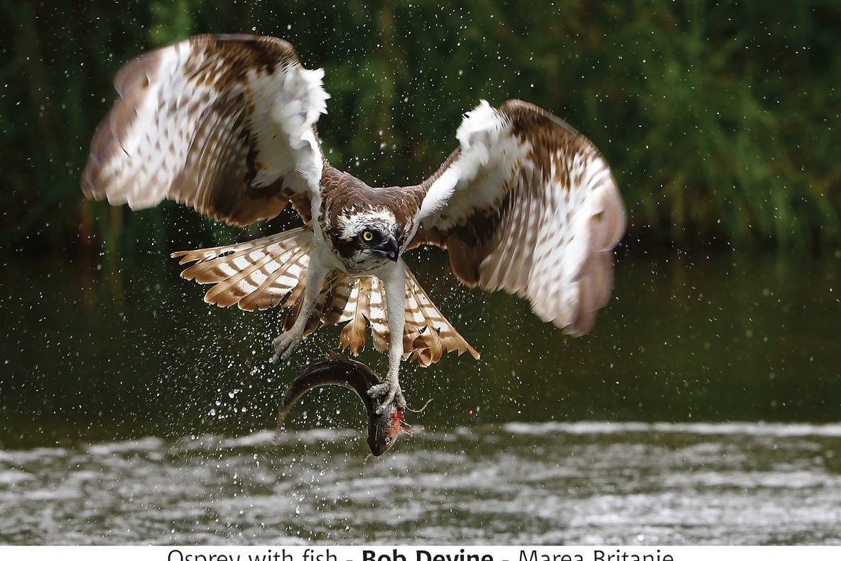 Un sibian a primit medalie de argint la Salonul Internațional de Fotografie