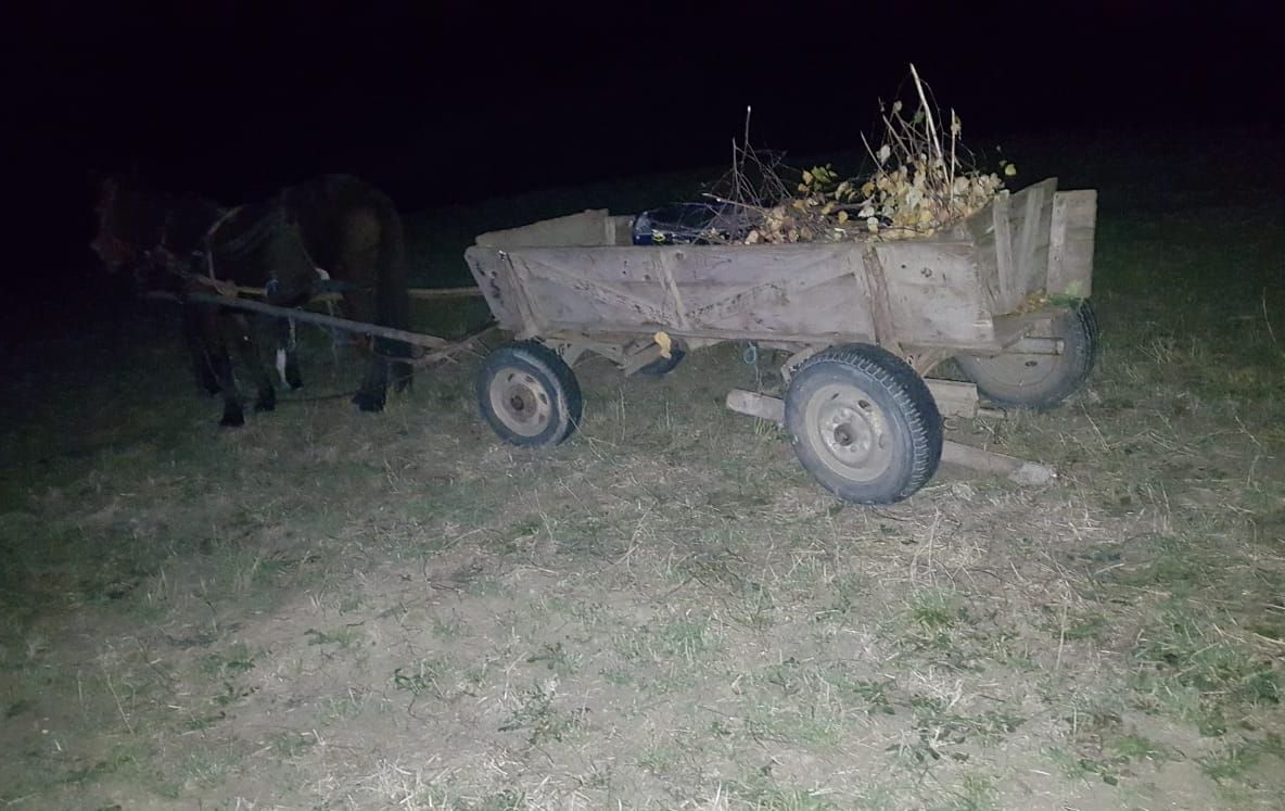 Un copil a ajuns la spital, după ce căruţa în care se afla a fost lovită de o maşină