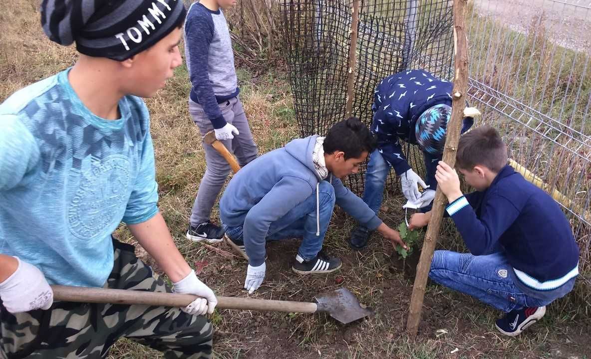 11 stejari plantați de copiii din Ruși, de Centenar